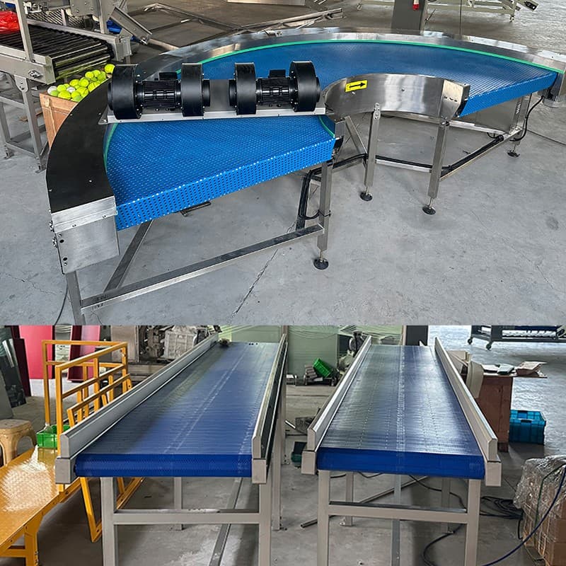 images/1696838458413fruit conveyor.jpg